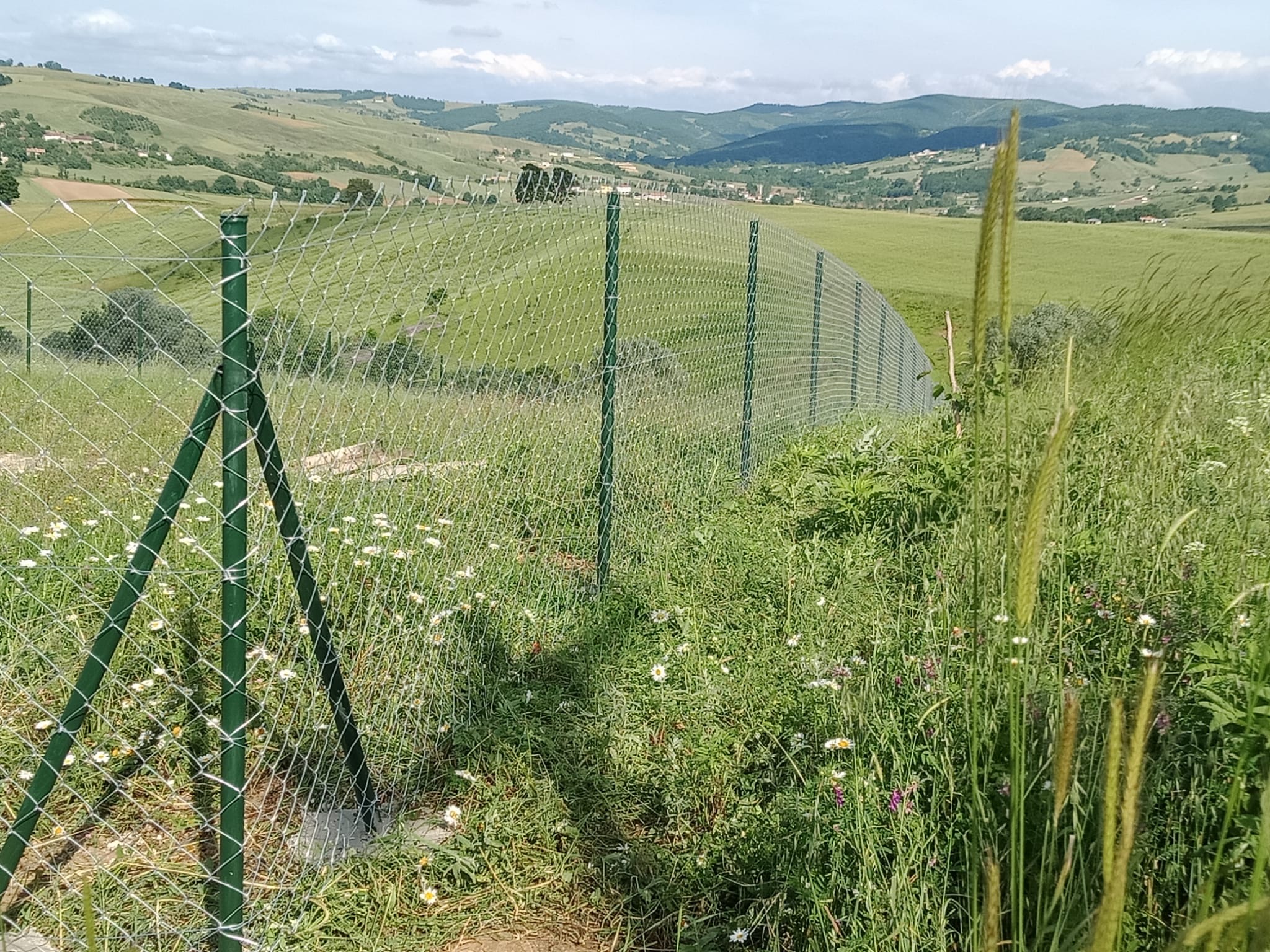 Boru Direkli Tel Çit